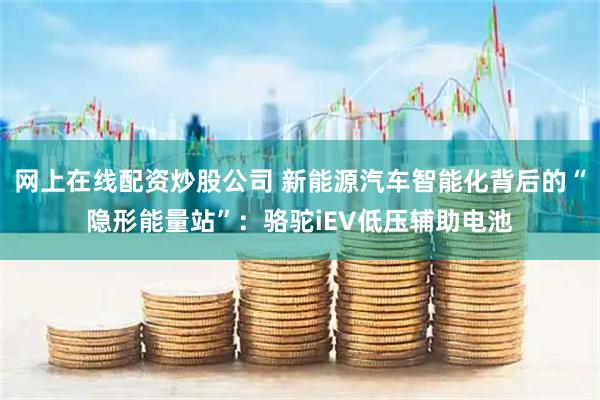 网上在线配资炒股公司 新能源汽车智能化背后的“隐形能量站”：骆驼iEV低压辅助电池